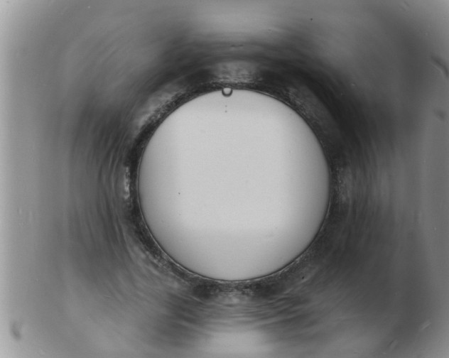 X0000103300731200809122029