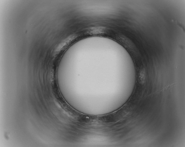 X0000103300732200809122029