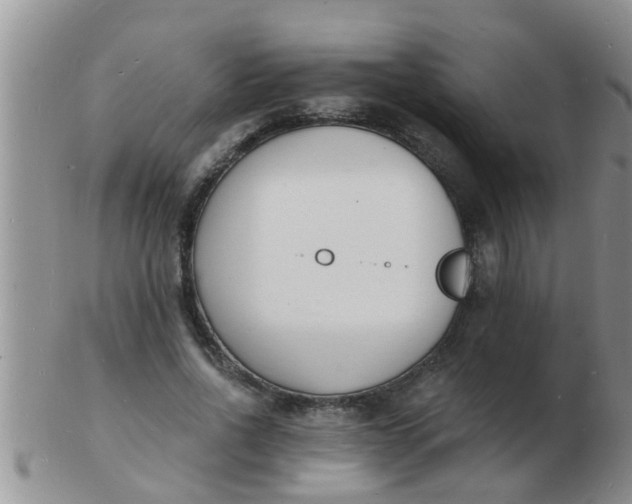 X0000103300734200809122029