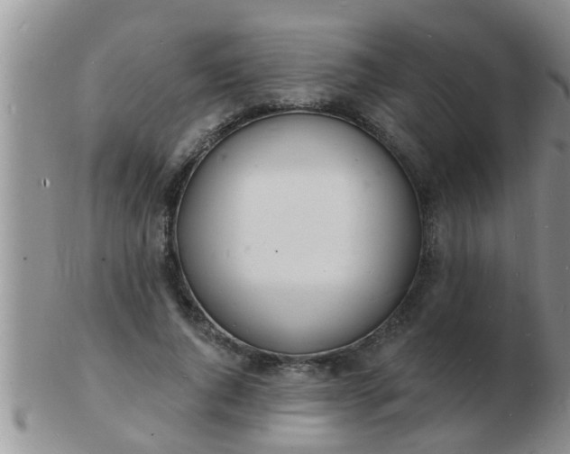 X0000103300736200809122029