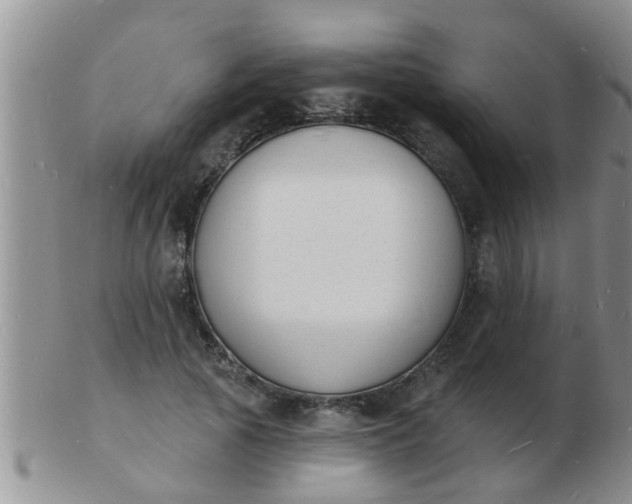 X0000103300737200809122029