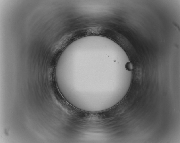 X0000103300738200809122029