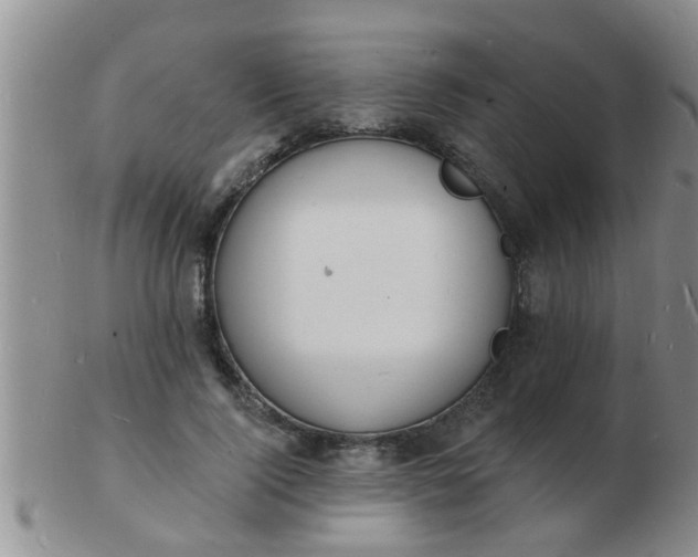 X0000103300740200809122029