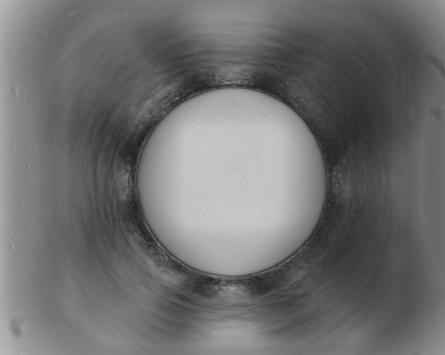 X0000103300741200809122029