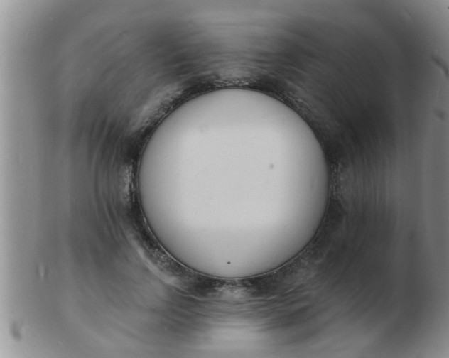 X0000103300742200809122029