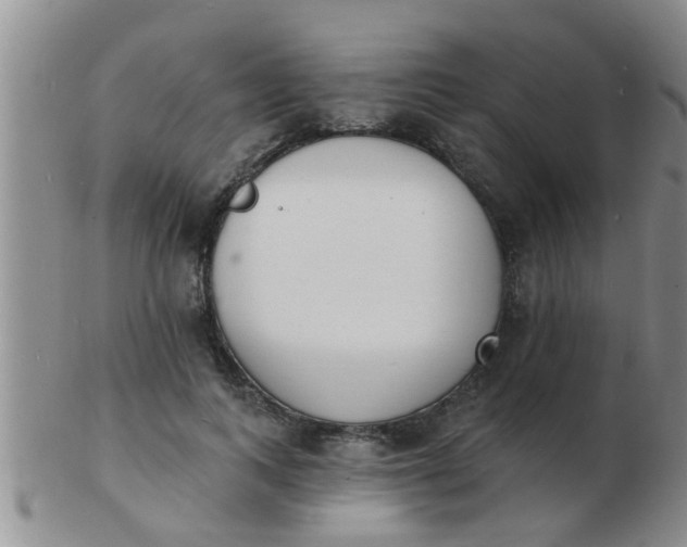 X0000103300743200809122029