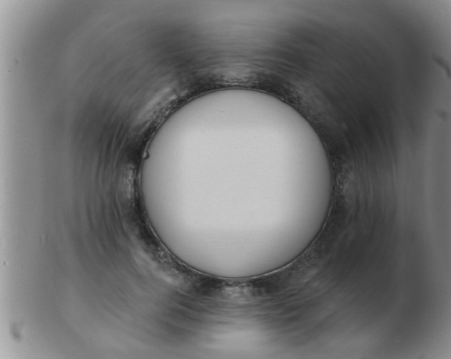 X0000103300744200809122029