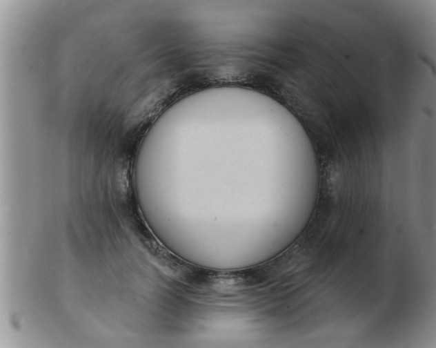 X0000103300746200809122029