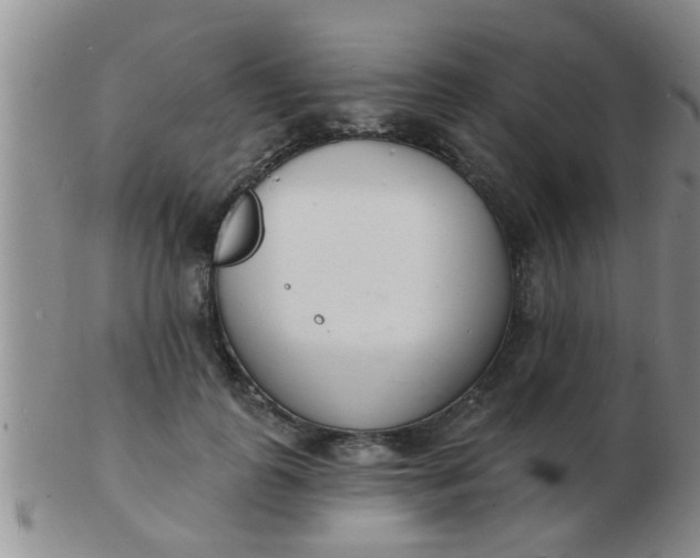 X0000103300747200809122029