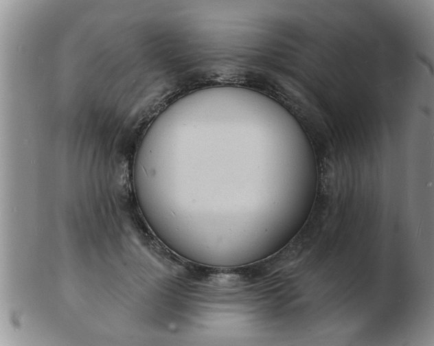 X0000103300748200809122029