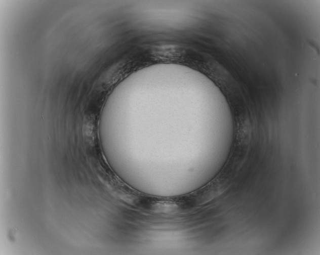 X0000103300749200809122029