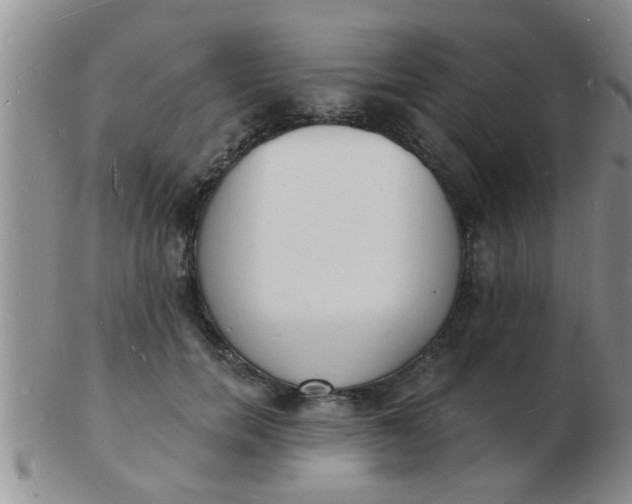 X0000103300750200809122029