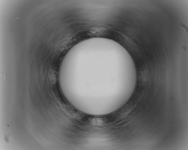 X0000103300751200809122029