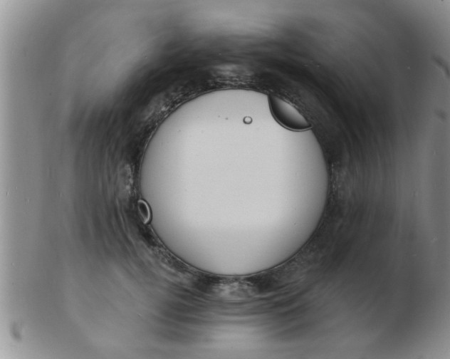 X0000103300752200809122029