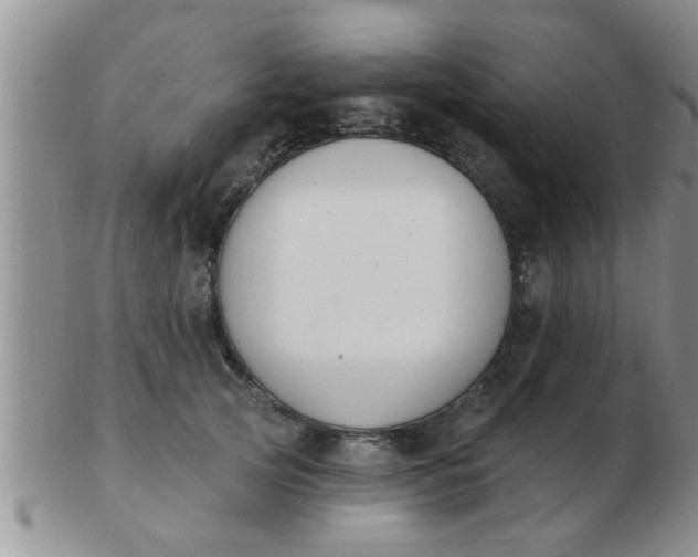 X0000103300753200809122029