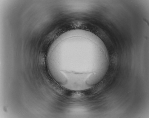 X0000103300754200809122029