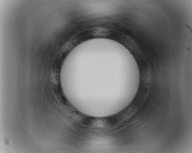 X0000103300755200809122029