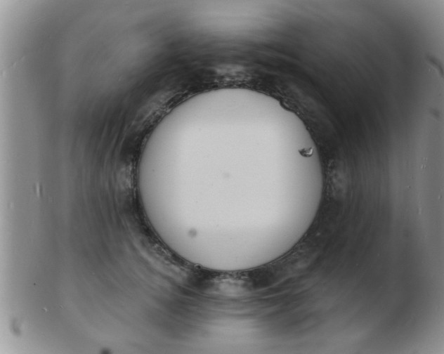 X0000103300756200809122029