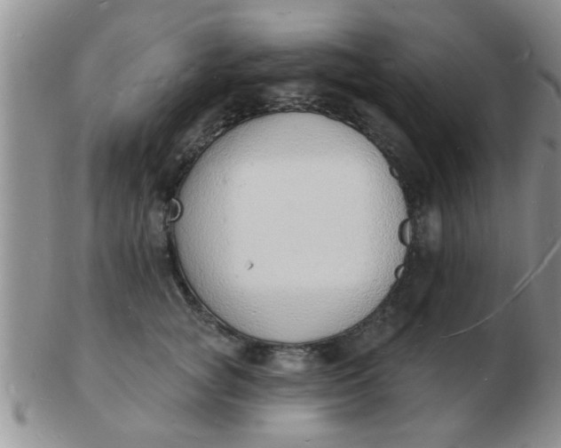 X0000103300757200809122029