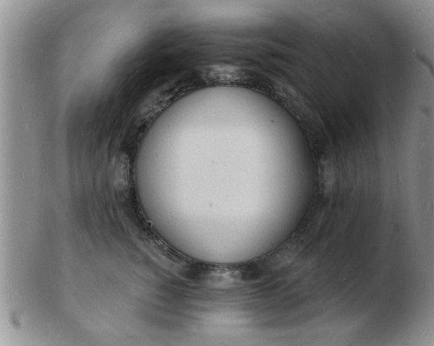 X0000103300760200809122029