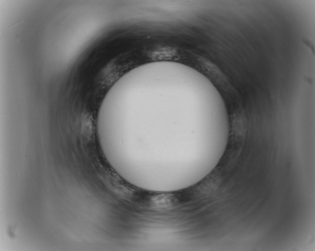 X0000103300761200809122029