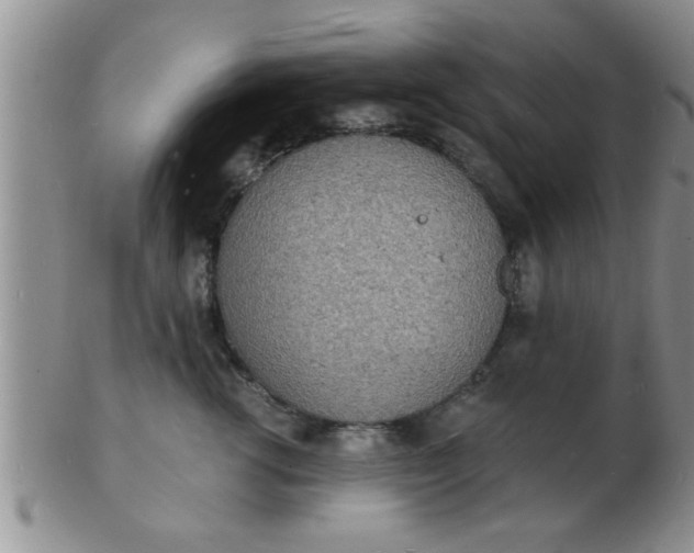 X0000103300762200809122029