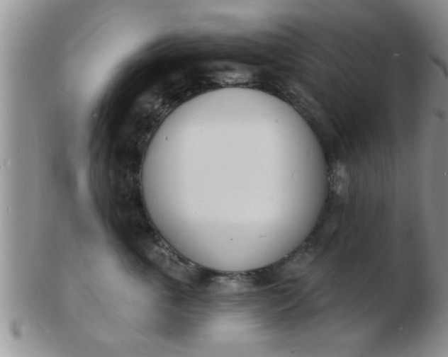 X0000103300763200809122029