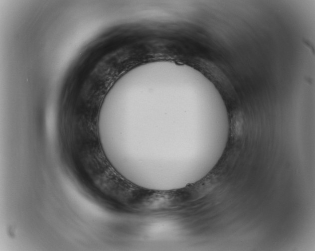 X0000103300764200809122029