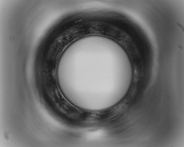 X0000103300765200809122029