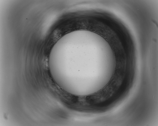 X0000103300766200809122029