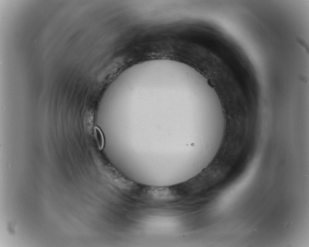 X0000103300767200809122029