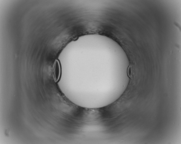 X0000103300768200809122029