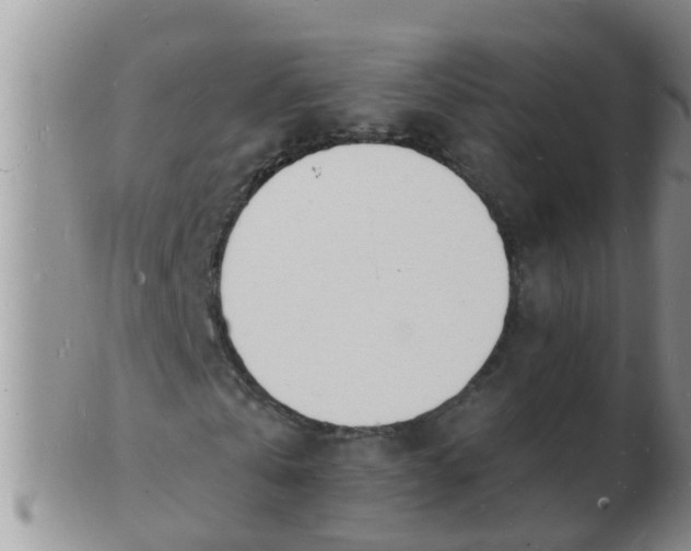 X0000103300769200809122029