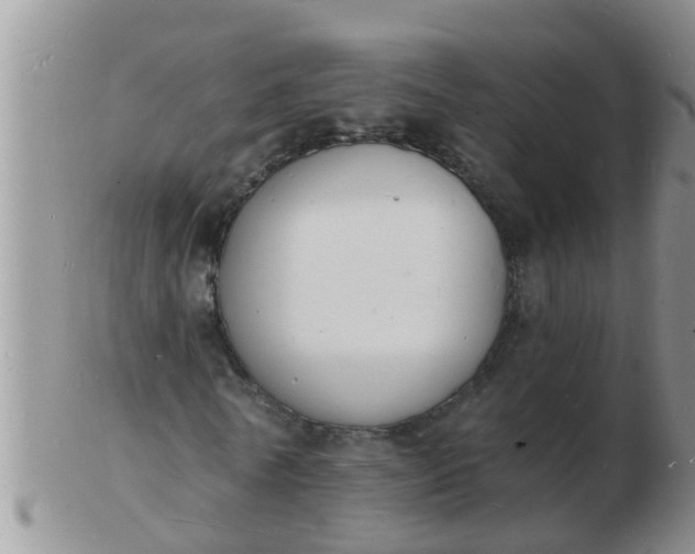 X0000103300770200809122029