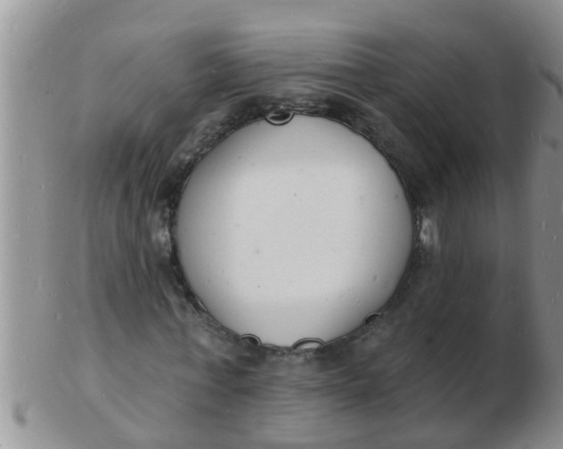 X0000103300771200809122029