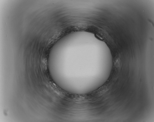 X0000103300772200809122029