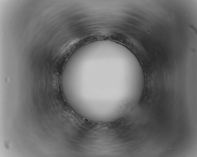 X0000103300773200809122029