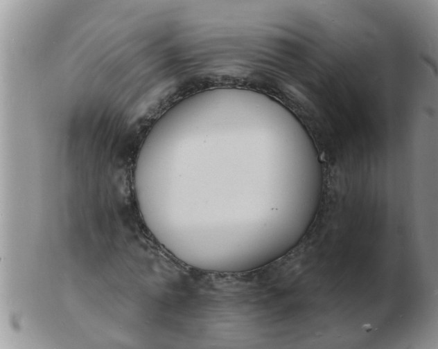 X0000103300774200809122029