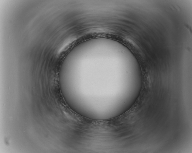 X0000103300775200809122029