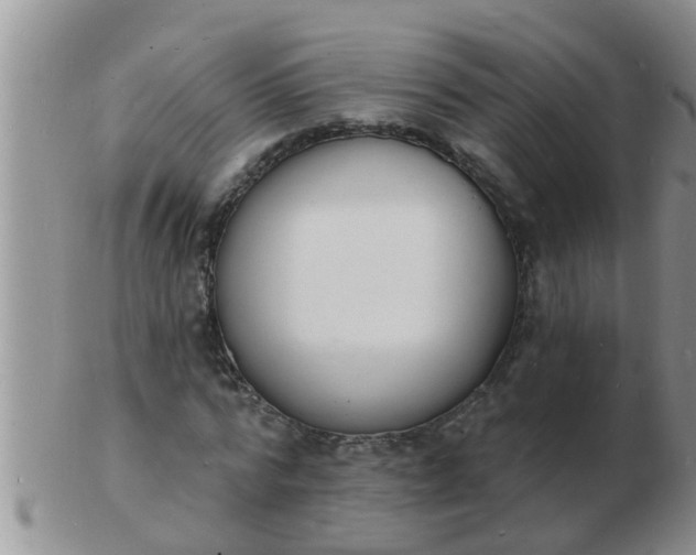 X0000103300776200809122029