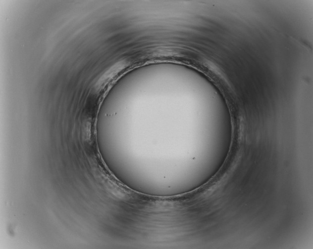 X0000103300777200809122029