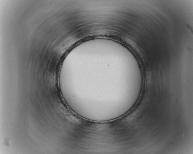 X0000103300778200809122029