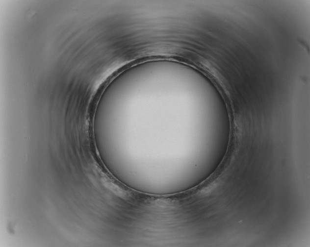 X0000103300779200809122029