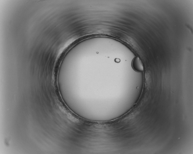 X0000103300780200809122029