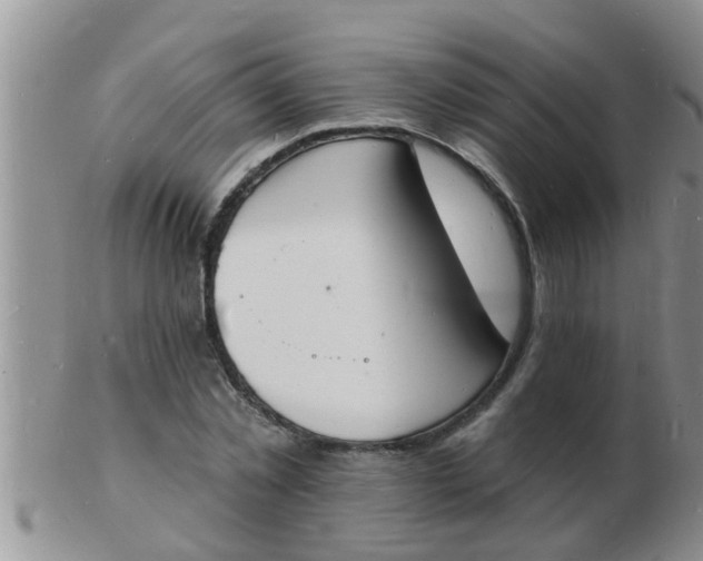 X0000103300781200809122029