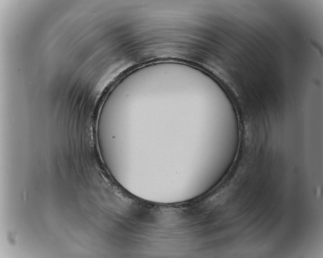 X0000103300782200809122029