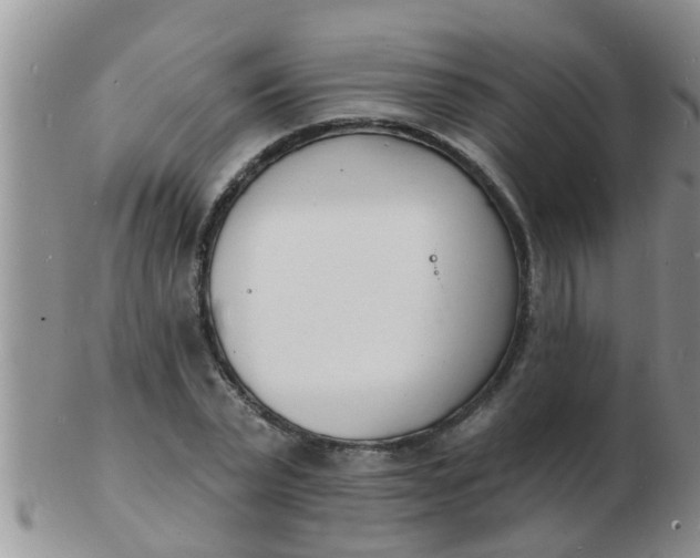 X0000103300783200809122029