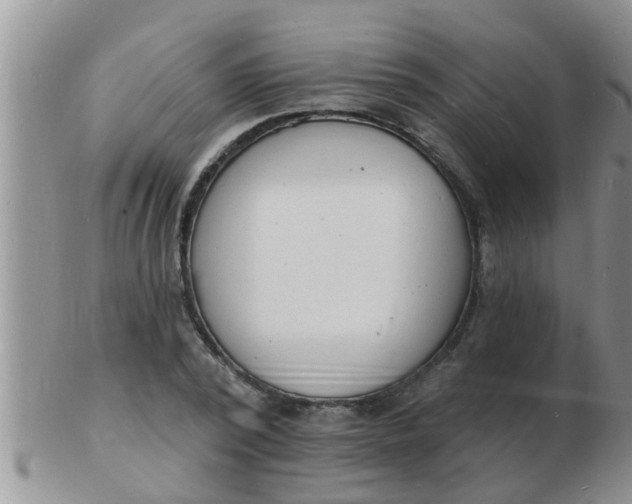 X0000103300784200809122029