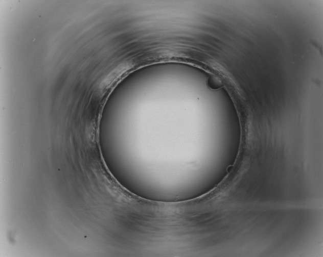 X0000103300785200809122029