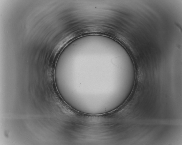 X0000103300786200809122029